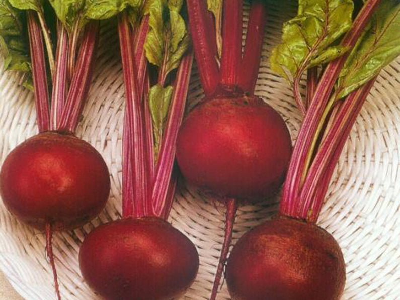 Globe Dark Red Round Beet Seeds (Prices From)