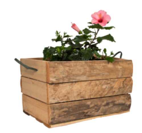 Culterra Rustic Planter Box