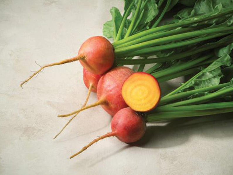 Touchstone Gold Speciality Yellow Beet 50 000 seeds